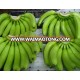 VIETNAM FRESH BANANA-GOOD QUALITY & REASONABLE PRICE