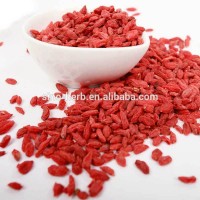 EU & FDA Standard Chinese Quality Herbs Ningxia Goji Berry Wolfberry Natural Dried Fruit Tea